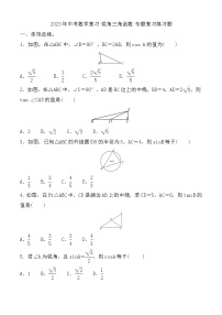 2023年中考数学复习 锐角三角函数 专题复习练习题