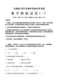 2023年云南省中考数学模拟试卷