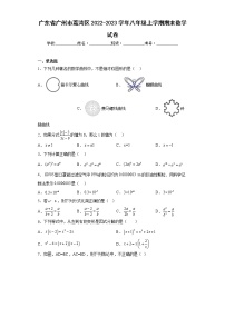 广东省广州市荔湾区2022-2023学年八年级上学期期末数学试卷（含答案）