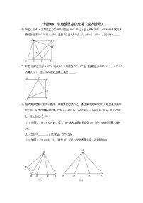 专题06 半角模型综合应用（能力提升）-备战中考数学《重难点解读•专项训练》（全国通用）