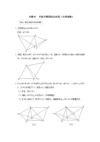 专题07 手拉手模型综合应用(专项训练)-备战中考数学《重难点解读•专项训练》(全国通用)