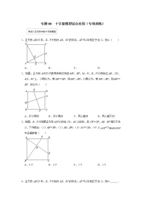 专题08  十字模型综合应用（专项训练）-备战中考数学《重难点解读•专项训练》（全国通用）