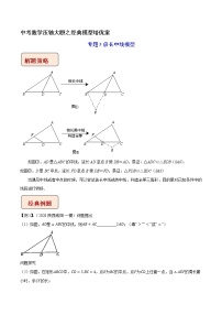 专题05 倍长中线模型-中考数学压轴大题之经典模型培优案（全国通用）