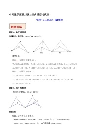 专题16 三角形之飞镖模型-中考数学压轴大题之经典模型培优案（全国通用）