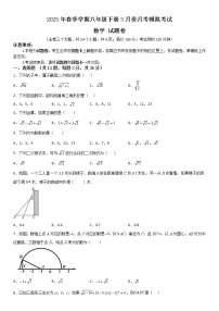 2023年云南省昭通市正道高级完全中学春季学期八年级下册3月份月考模拟考试数学试题卷