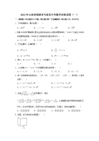 云南省昭通市巧家县2022届九年级中考模拟诊断练习（一）数学试卷