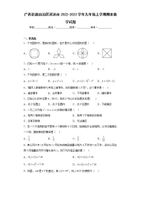 广西壮族自治区河池市2022-2023学年九年级上学期期末数学试题（含答案）