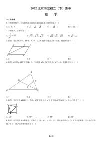 2022年北京海淀初二（下）期中数学试卷及答案