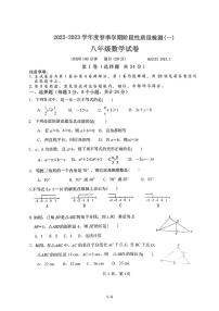 陕西省宝鸡市宝鸡高新中学2022-2023学年八年级下学期第一次月考数学试题