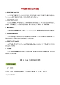 中考数学专题复习 专题09 二元一次方程组及其应用