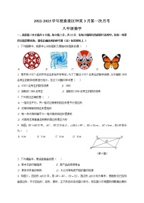 江苏省南京市钟英中学2022-2023学年八年级下学期数学第一次月考卷（含答案）