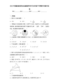 2023年湖南省岳阳市弘毅新华中学九年级下学期月考数学试卷（含详细答案）