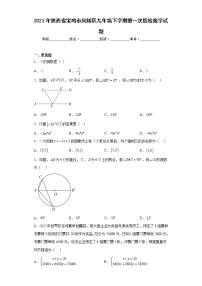 2023年陕西省宝鸡市凤翔区九年级下学期第一次质检数学试题（含答案）