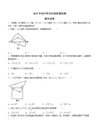 2023年河北省石家庄新华区九年级基础知识质量监测数学试题（3月模拟考）（含答案）