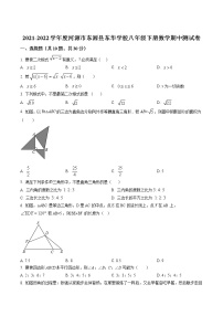 精品解析：广东省河源市东源县东华学校2021-2022学年八年级下学期数学期中测试卷