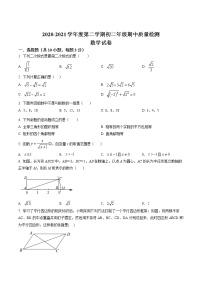 精品解析：广东省珠海市第八中学2020-2021学年八年级下学期数学期中试题