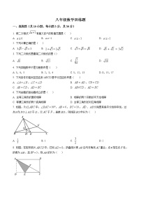 精品解析：湖北省武汉市武昌区拼搏联盟2021-2022学年八年级下学期数学期中试题