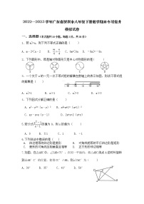 2022—2023学年广东省深圳市八年级下册数学期末专项提升模拟试卷（含解析）