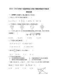 2022—2023学年广东省深圳市八年级下册数学期末专项提升模拟试卷(含解析)
