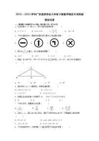 2022—2023学年广东省深圳市八年级下册数学期末专项突破模拟试卷（含解析）