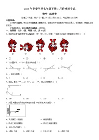 2023年春季学期云南省昭通市正道高级完全中学七年级下册3月份模拟考试数学试题卷