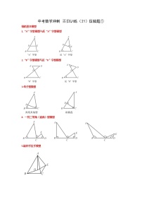 2023年九年级中考数学冲刺百日训练（21）压轴题①