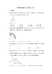 2023年中考数学冲刺百日训练(24)