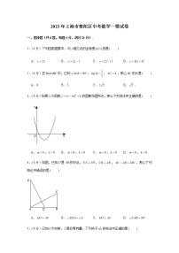 2023年上海市普陀区中考数学一模试卷（含答案）