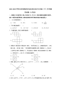 江苏省扬州市宝应县东北片2022-2023学年九年级下学期月考数学试卷（3月份）（含答案）