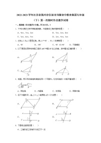 江苏省扬州市仪征市刘集初中教育集团2022-2023学年七年级下学期第一次限时作业数学试卷（含答案）