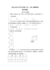 安徽省滁州市定远县民族中学2022-2023学年九年级3月月考模拟检测试卷（含答案）