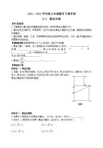 鲁教版 (五四制)八年级下册6 黄金分割导学案及答案