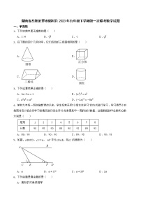 湖南省岳阳汨罗市弼时片2023年九年级下学期第一次联考数学试题