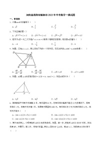 河南省洛阳市偃师市2023年中考数学一模试题