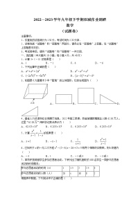 2023年安徽省合肥市九年级下学期双减调研数学试卷