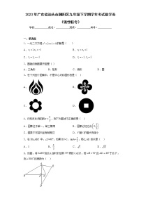 2023年广东省汕头市潮阳区九年级下学期学年考试数学卷（含答案）