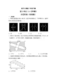 人教版七年级下册5.4 平移优秀练习题