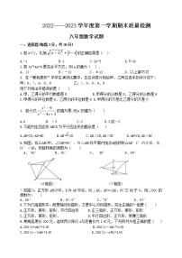 泰安市东平县明湖中学鲁教版八年级上学期数学期末测试题和答案