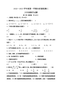 泰安市泰山区望岳中学八年级数学上册期末测试试题（3）和答案