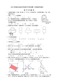2023年浙江省温州市第一次适应性考试数学试题(含答案）