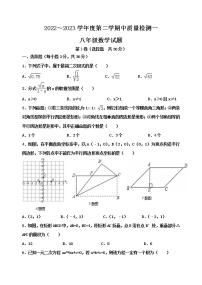 泰安市泰山区望岳中学八年级数学下册期中测试试题（1）和答案