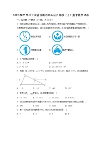 2022-2023学年云南省昆明市西山区八年级（上）期末数学试卷（含解析）