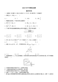 2023年甘肃省陇南市中考第一次联考数学试题(含答案）