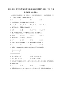 2022-2023学年江苏省南通市海安市西片联盟八年级（下）月考数学试卷（3月份）(含解析 )