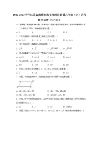 2022-2023学年江苏省南通市海安市西片联盟八年级(下)月考数学试卷(3月份)(含解析 )