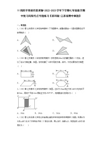 11利用平移的性质求解-2022-2023学年下学期七年级数学期中复习高频考点专题练习【苏科版-江苏省期中真题】