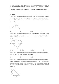 17三角形三边关系的应用-2022-2023学年下学期七年级数学期中复习高频考点专题练习【苏科版-江苏省期中真题】