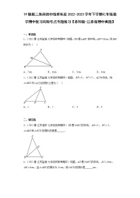 19根据三角形的中线求长度2022-2023学年下学期七年级数学期中复习高频考点专题练习【苏科版-江苏省期中真题】