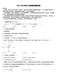 北京课改版七年级下册7.2 实验当堂达标检测题