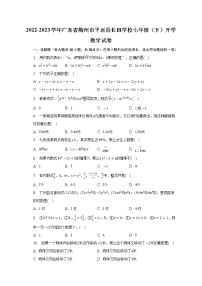 2022-2023学年广东省梅州市平远县长田学校七年级（下）开学数学试卷(含解析)